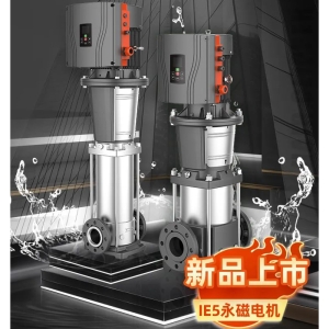 利欧IPM5-R(S)高效智能立式多级泵